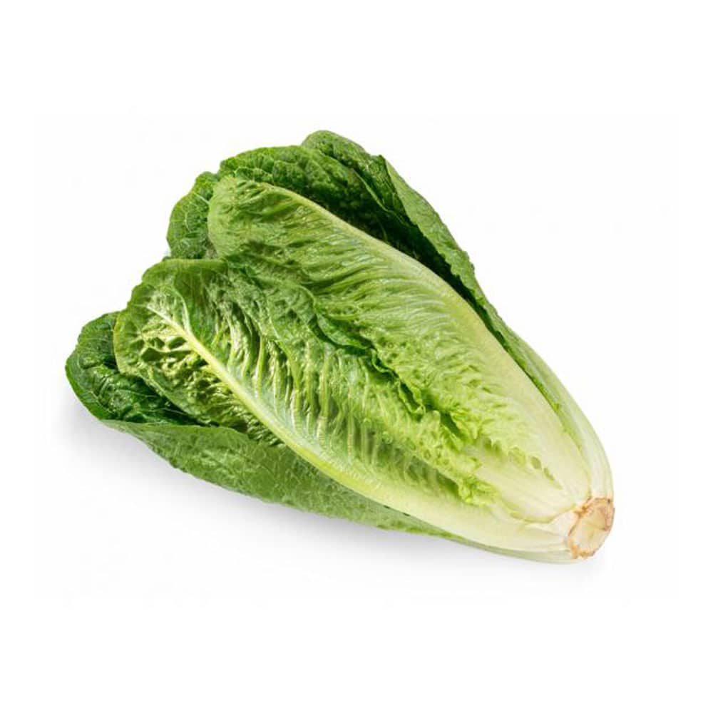 Lettuce