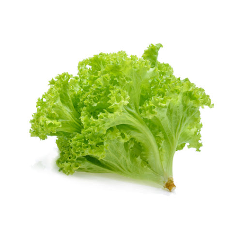 Lettuce