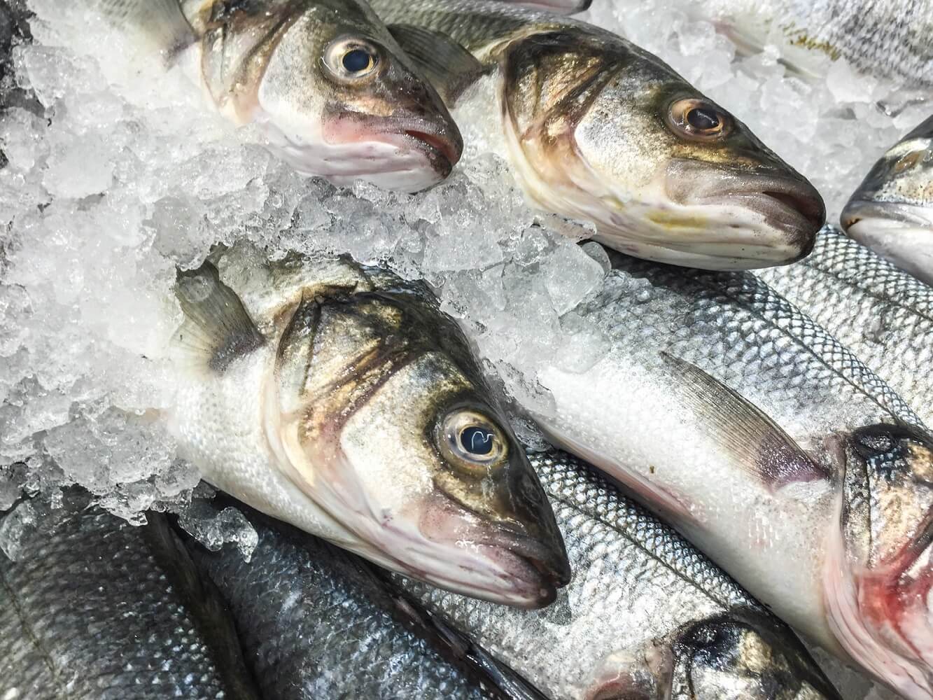 Why Consider Frozen Fish - 4 Reasons to Reconsider