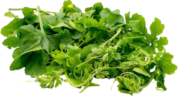 Ampalaya Leaves 1 tali