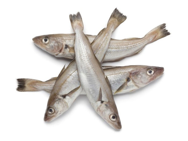 Asuhos / Whiting (Clean & Gutted)  450-500g
